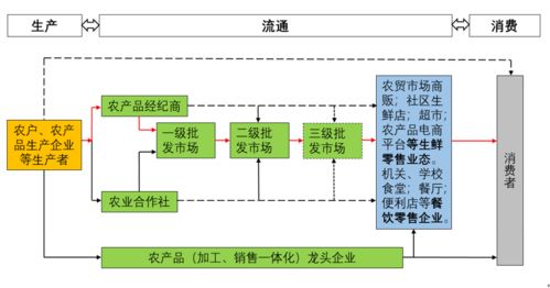 數(shù)智賦能 鏈通未來(lái) 我國(guó)生鮮農(nóng)產(chǎn)品流通新趨勢(shì)及軟件開(kāi)發(fā)展望