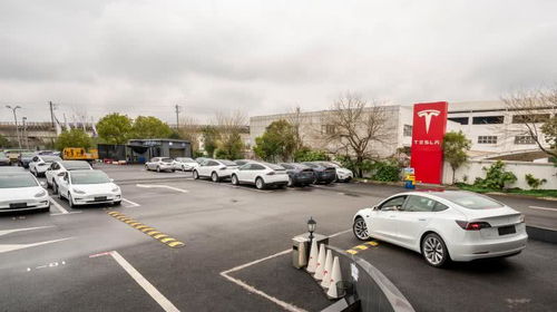 特斯拉2月國內(nèi)新能源車銷量3958輛奪魁，集中式快速充電站成行業(yè)新焦點(diǎn)